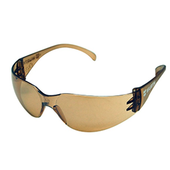 Safety Glasses Standard